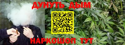 спайс Будённовск