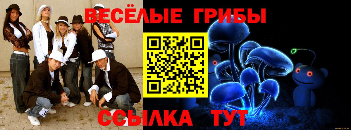 Псилоцибиновые грибы Psilocybine cubensis Кохма