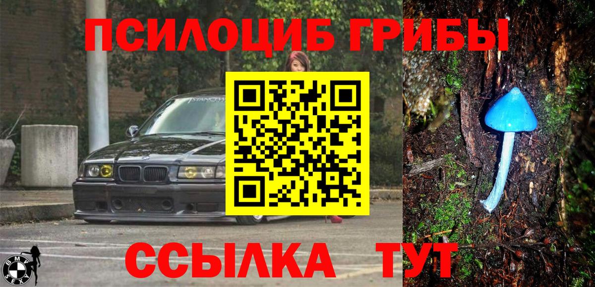 Кохма  Псилоцибиновые грибы MAGIC MUSHROOMS  где купить   Вход с VPN 